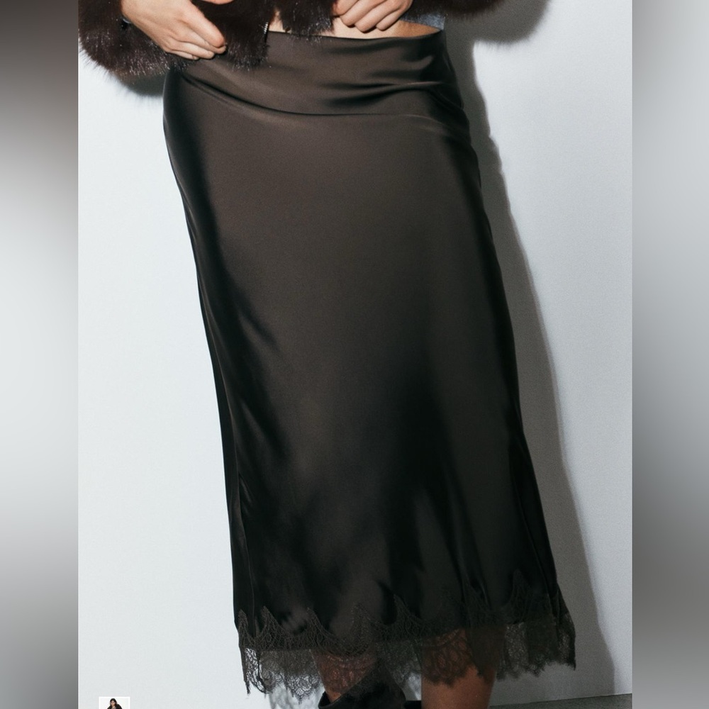 Zara lace skirt